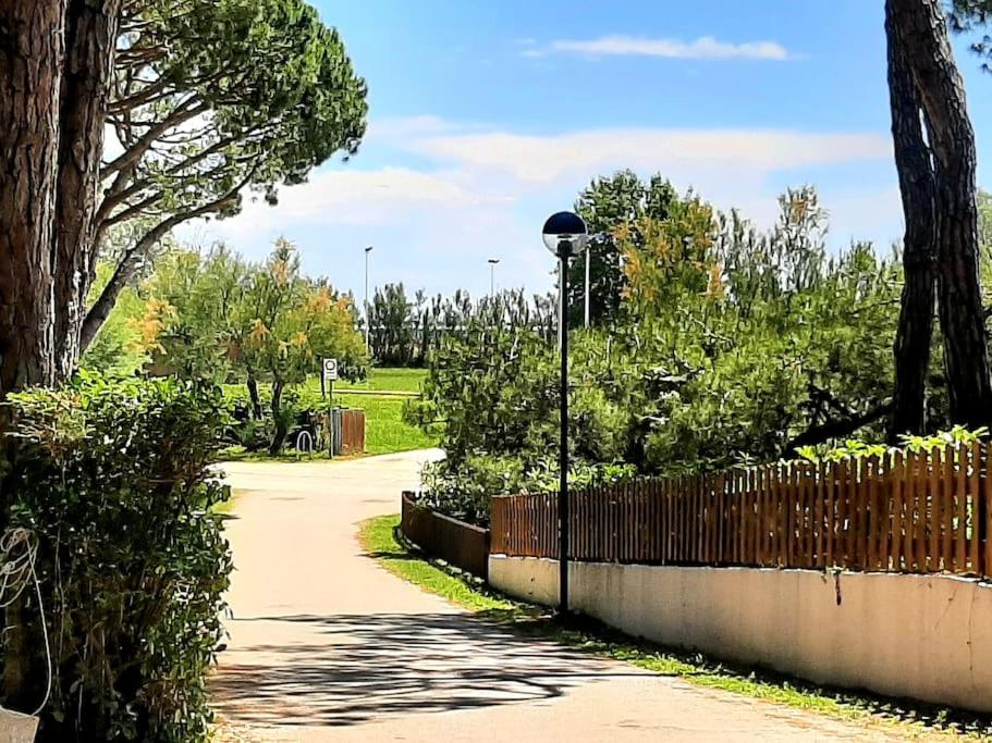 Zahrada ubytování CASA LOLITA