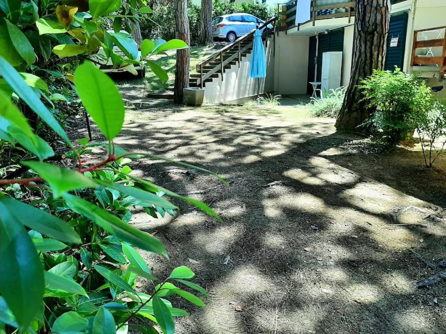 Zahrada ubytování CASA LOLITA