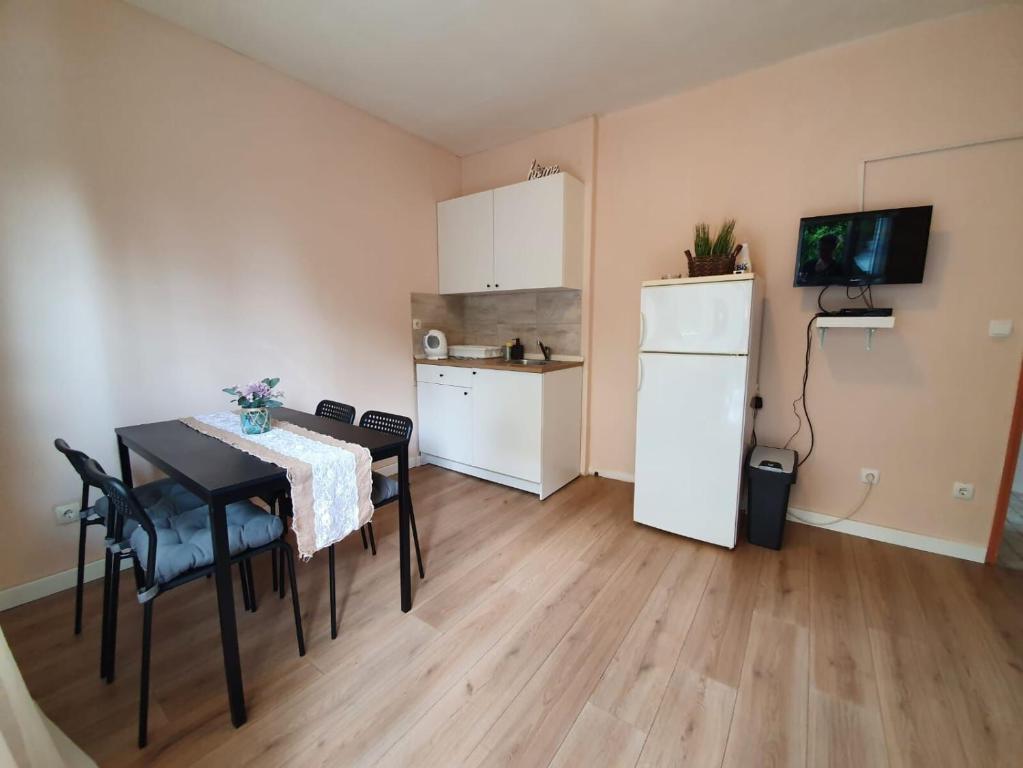 Kuchyň nebo kuchyňský kout v ubytování Apartments Alenka
