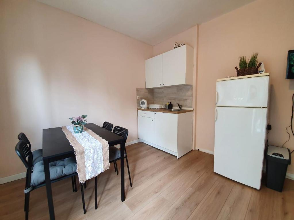 Kuchyň nebo kuchyňský kout v ubytování Apartments Alenka