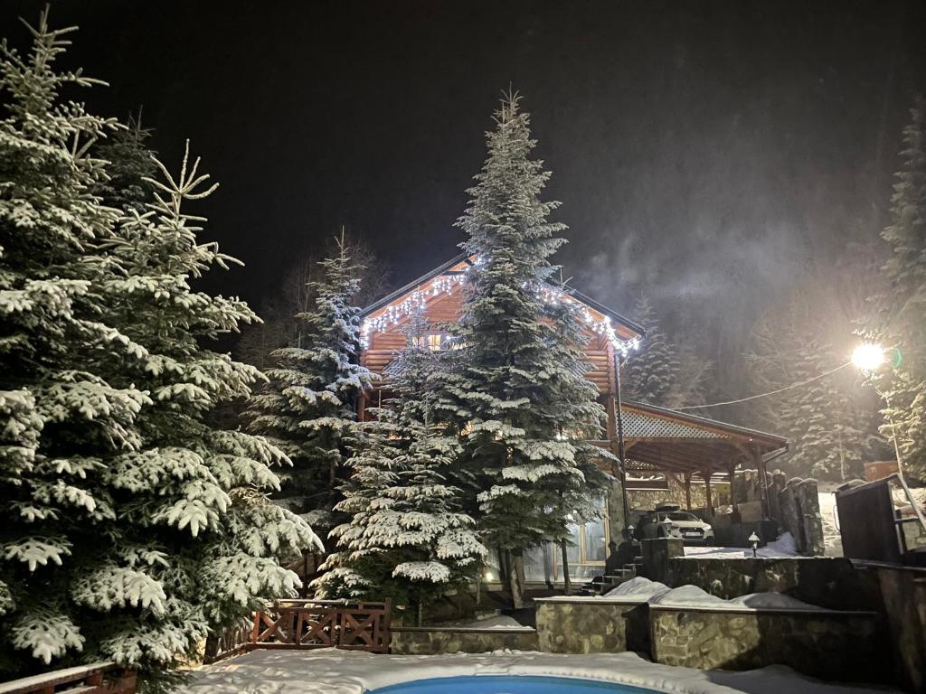 eine Ski-Lodge in der Nacht mit schneebedeckten Bäumen in der Unterkunft VIP HOUSES Карпати Мигово in Myhowe