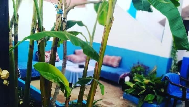 Magnifique maison 3 Chambre avec jardin Oued laou