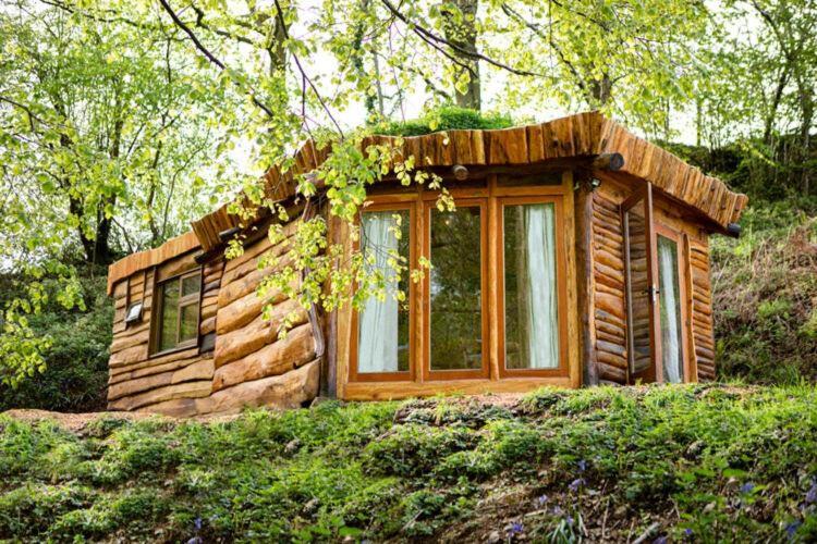 a small log cabin in the middle of a forest at Little Hollows Glamping in Little Malvern
