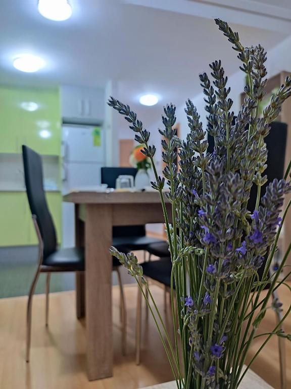 Apartamento Estrella de Teruel - 1