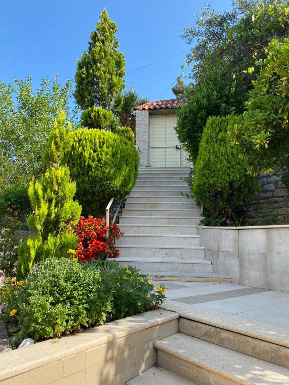 a set of stairs leading up to a house at Marl's Home in Berat