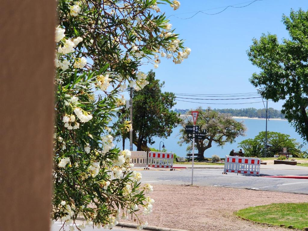 uma vista para uma rua com uma massa de água em Hermosa vista em Colônia do Sacramento