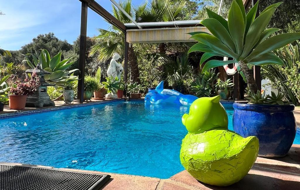 a swimming pool with a green frog sitting next to it at Mijas Pueblo paradise villa in Málaga