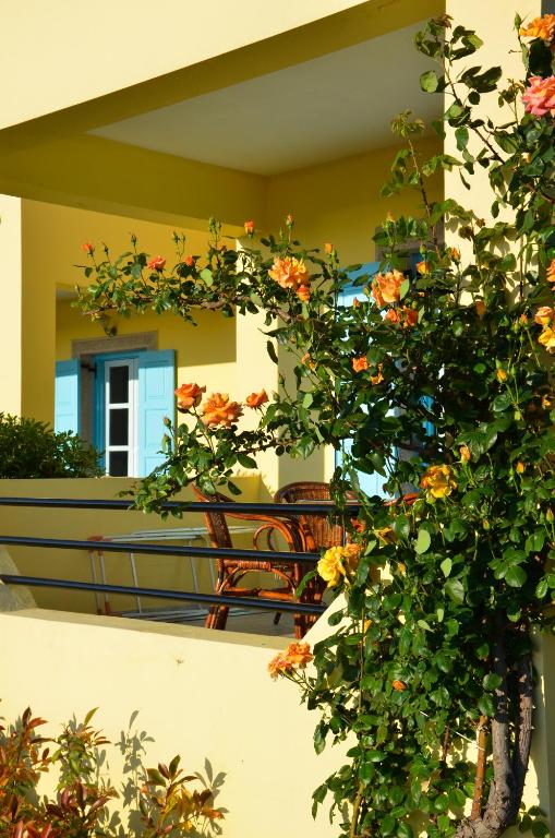 O grădină în afara Hotel Dina - Ξενοδοχείο Ντινα