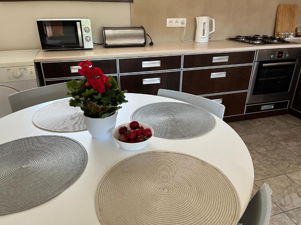 Kuchyňa alebo kuchynka v ubytovaní Apartament z tarasem