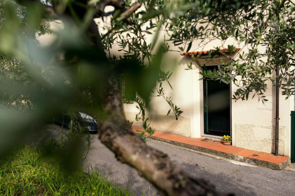 A garden outside Affittacamere Donati Nada