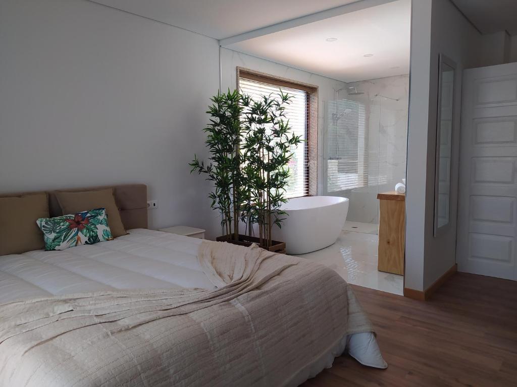 CASA DAS FONTELAS - 2