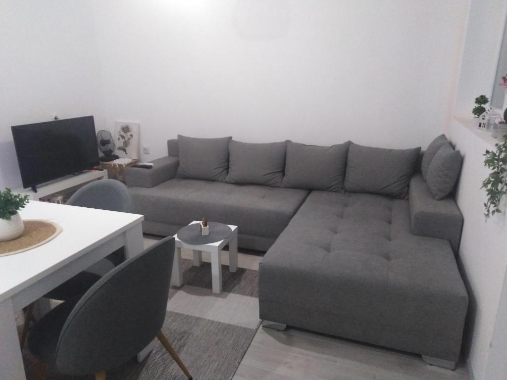 a living room with a couch and a table at Apartman REA 1 in Pirot