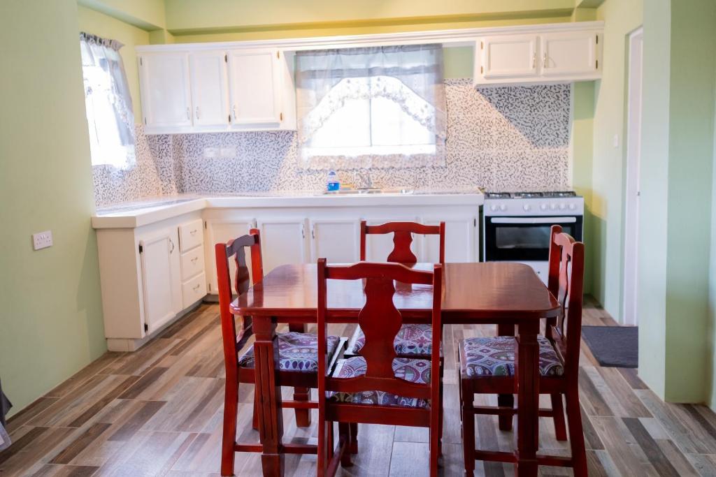Kuchyň nebo kuchyňský kout v ubytování Golden Palms Apartment