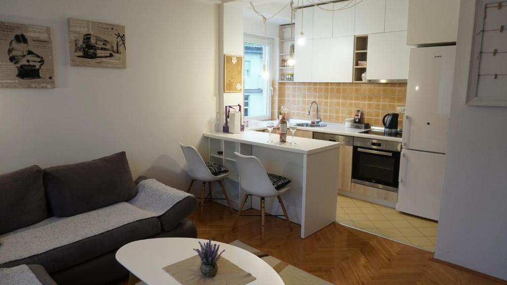 ein Wohnzimmer mit einem Sofa und einer Küche in der Unterkunft Cozy Apartment in Brčko