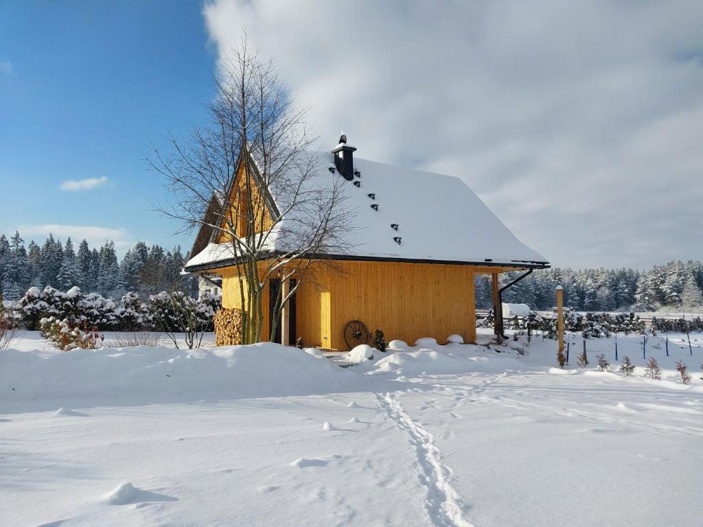 ein kleines Gebäude mit einem Vogel auf dem Dach im Schnee in der Unterkunft Willa Maciejka - Domek Narciarski in Trybsz