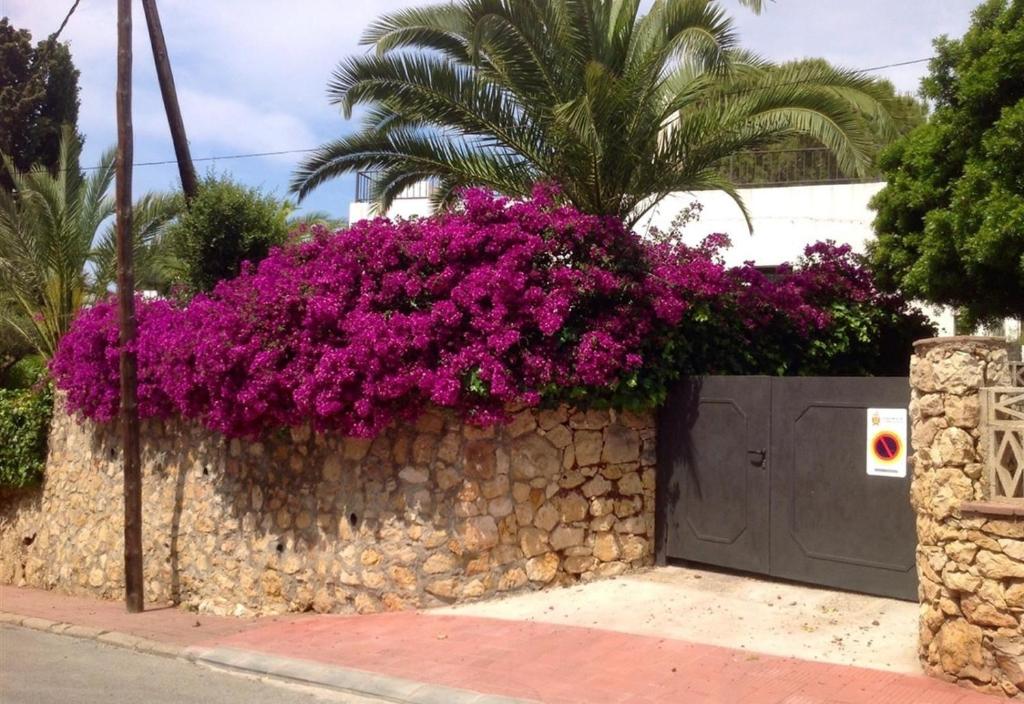 Vonkajšia záhrada v ubytovaní Holiday villa for rent in Tarragona