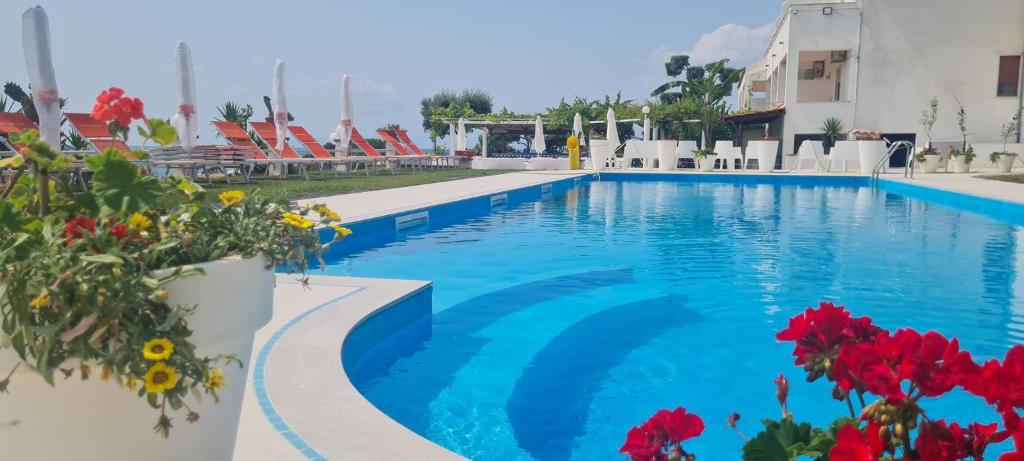 a swimming pool with blue water and red flowers at Hotel Cristina in Diamante