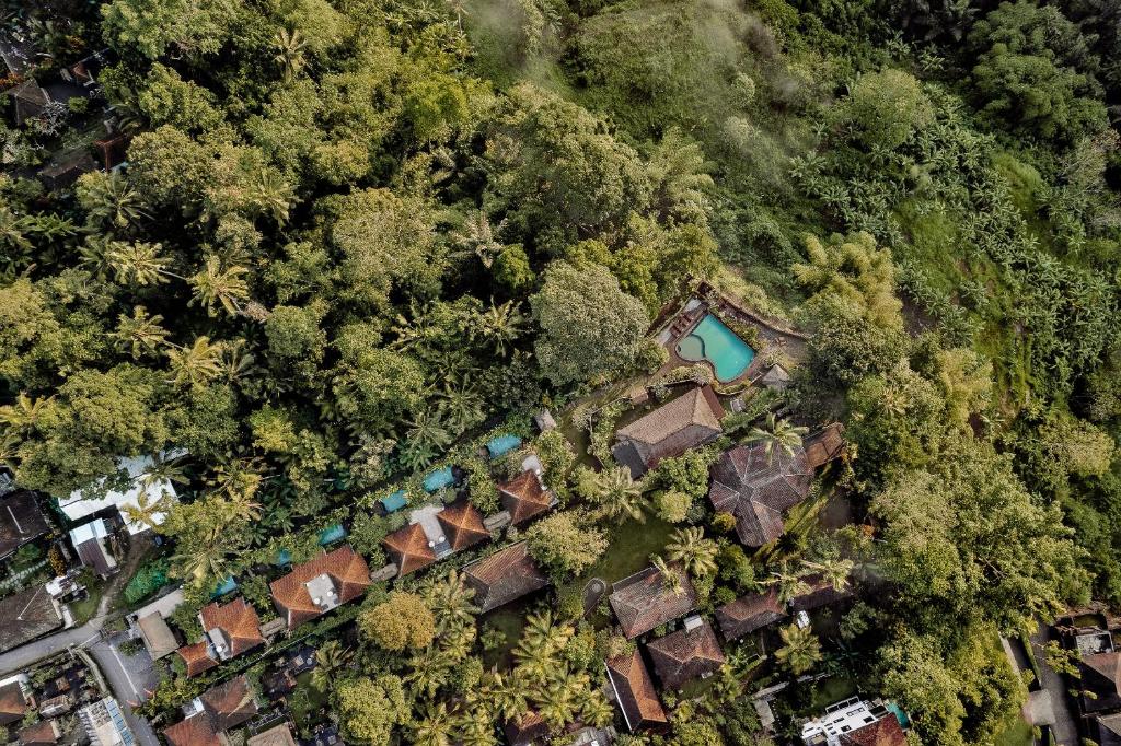 Vista aerea di Teja Lokha Ubud Villa