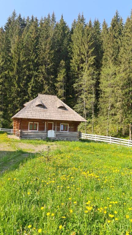 a log cabin in a field of grass with flowers at Cabana Păstrăvului in Izvoarele Sucevei