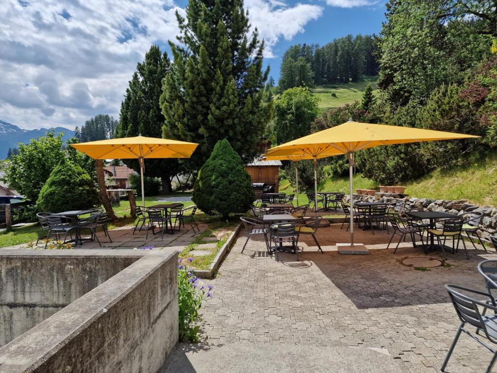 Příroda nedaleko hotelu