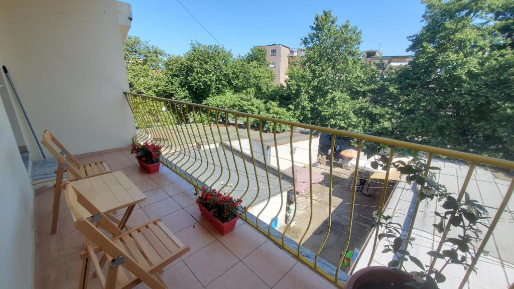 Traveler Hostel - Imazhi 6