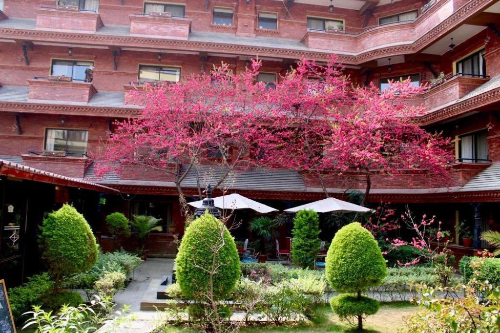 a building with a pink flowering tree in front of it at Hotel Siddhi Manakamana in Kathmandu