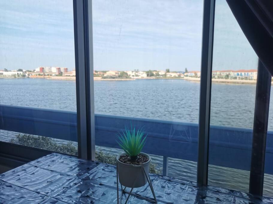 uma planta em vasos sentada numa mesa em frente a uma janela em Studio Cap Coudalère vue lac marin et climatisé tout confort proche des plages em Le Barcarès