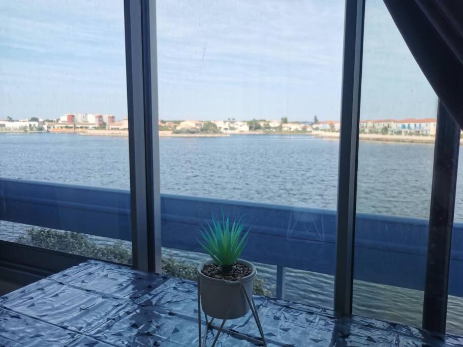 une plante en pot assise sur une table devant une fenêtre dans l'établissement Studio Cap Coudalère vue lac marin et climatisé tout confort proche des plages, au Barcarès