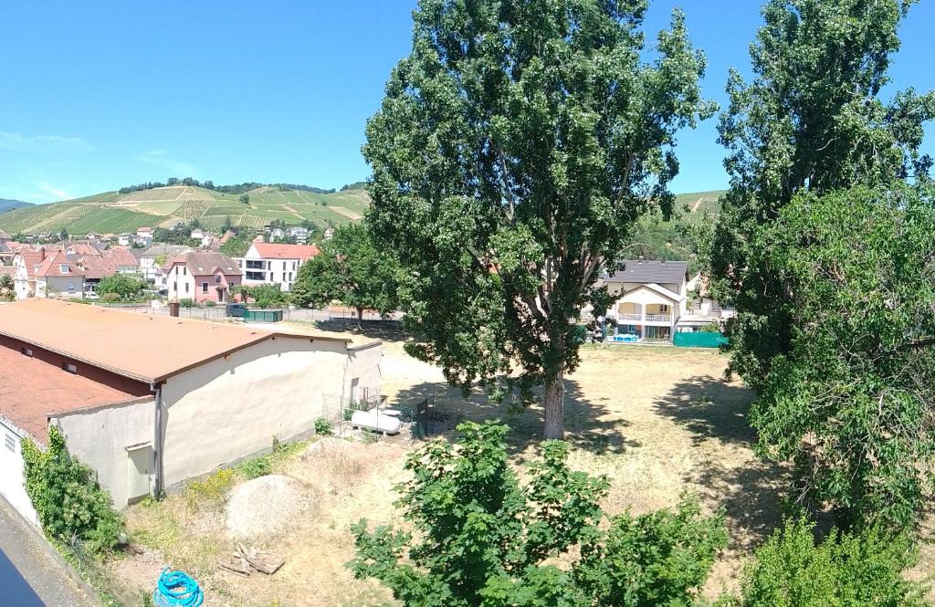 Appartement avec balcon : Le Serenity – photo 15