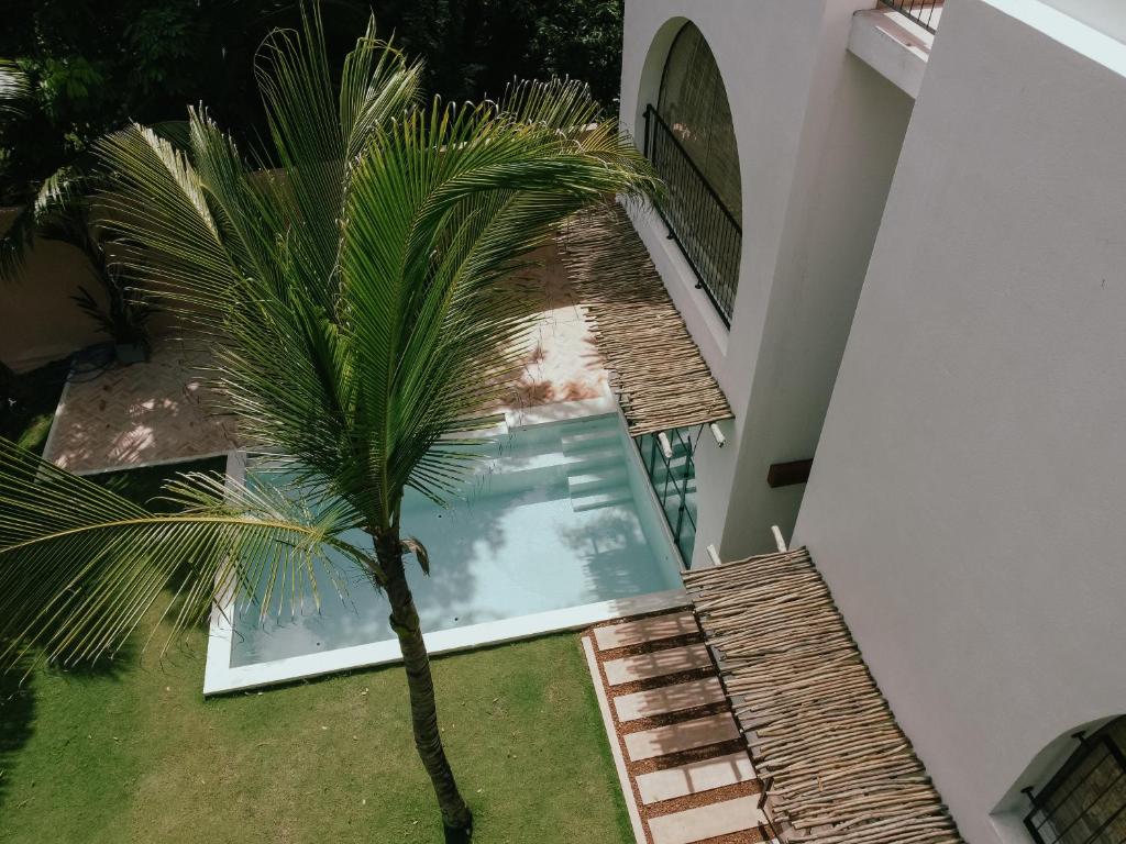 a palm tree sitting next to a swimming pool at Black Honey in Ahangama