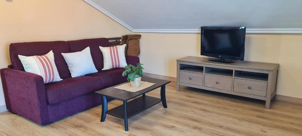 Apartamentos El Pigazu - 19