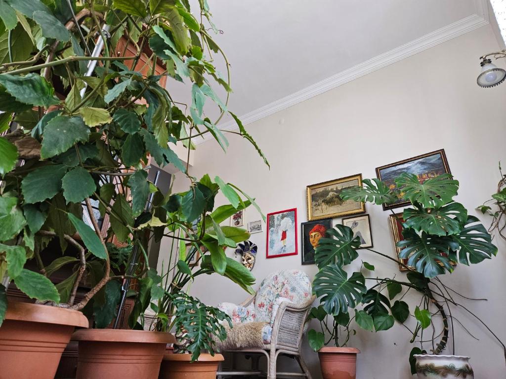 Fotografie z fotogalerie ubytování Tamari Guest House v destinaci Telavi