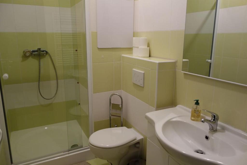 Koupelna v ubytování Apartmán IRIS Podhájska