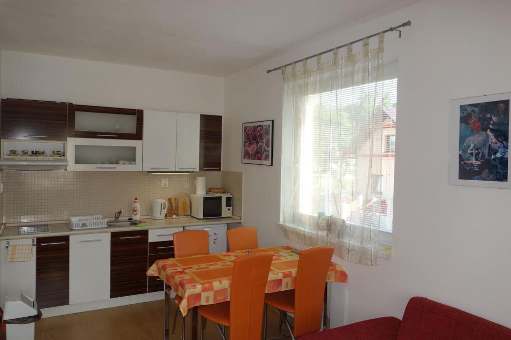 Kuchyň nebo kuchyňský kout v ubytování Apartmán IRIS Podhájska