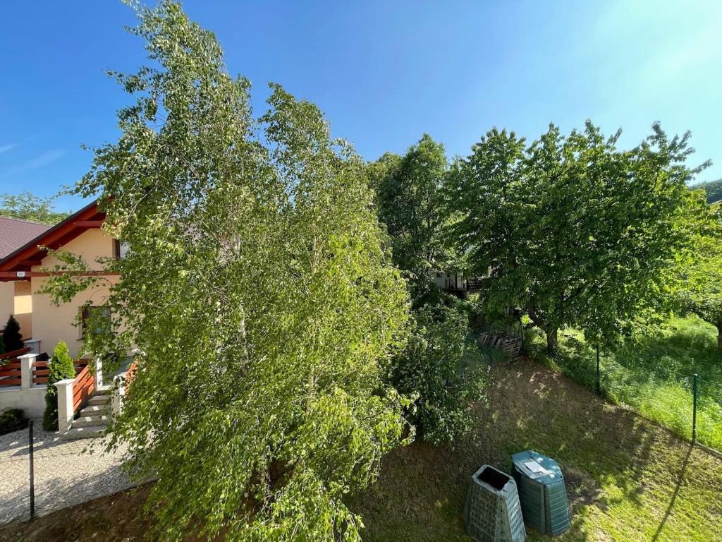 Zahrada ubytování Apartmán IRIS Podhájska