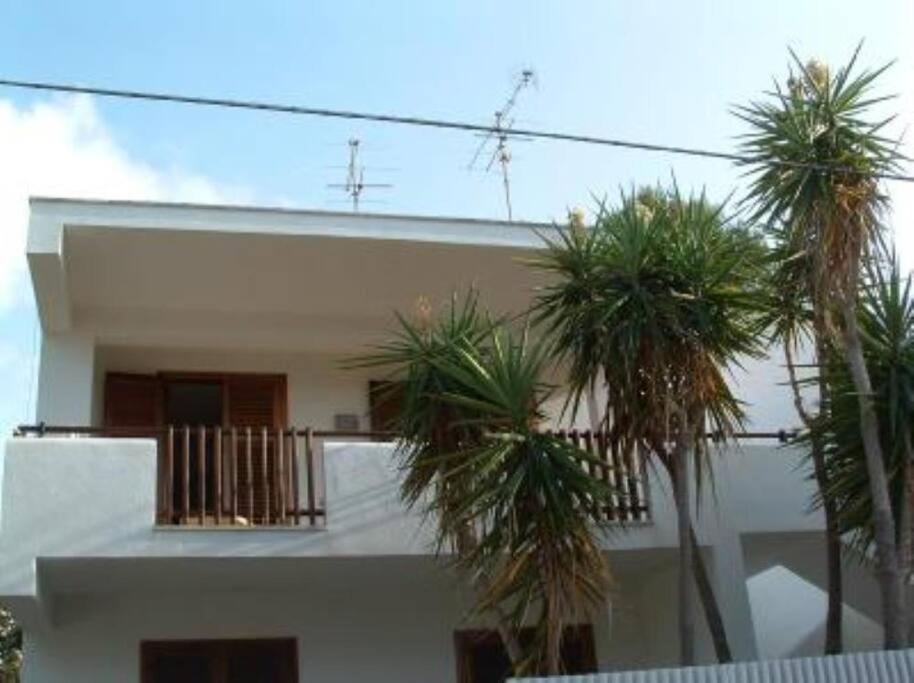 une maison blanche avec des palmiers devant elle dans l'établissement Villa 2M a 50 metri dal mare, à San Vito Lo Capo