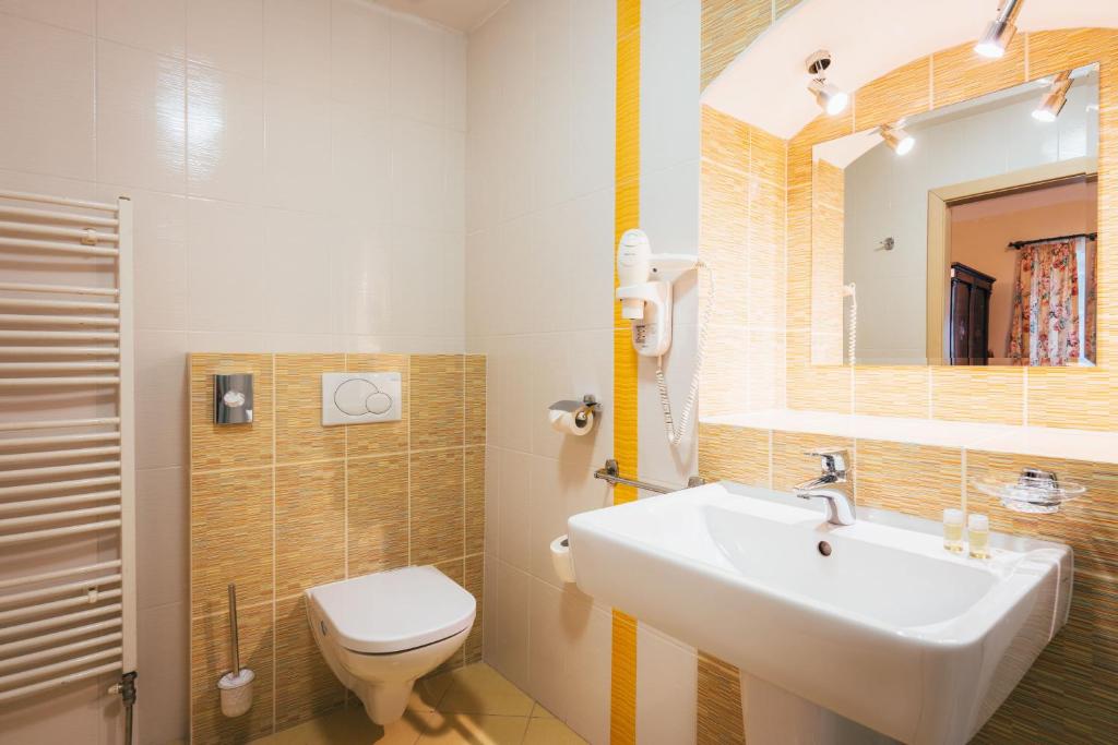 a bathroom with a sink and a toilet and a mirror at Sv. Hubertus in Český Krumlov