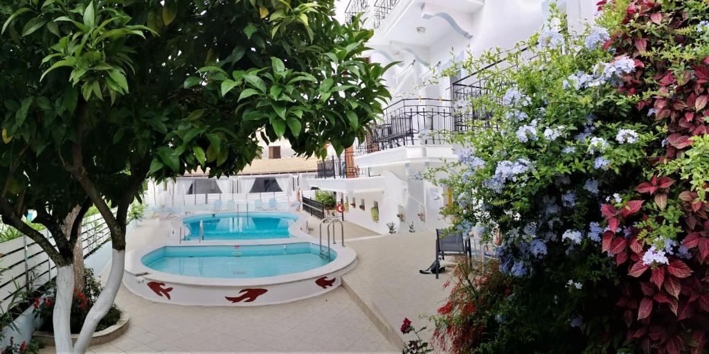 The swimming pool at or close to Oasis