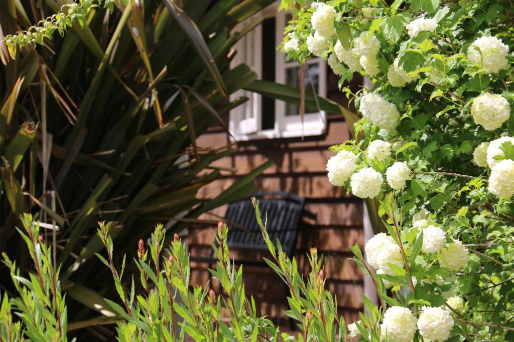 a bush with white flowers in front of a building at Big Brook Retreat in Pemberton