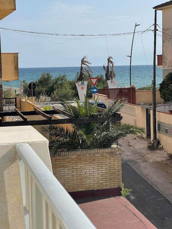 Táj Show holiday homes közelében