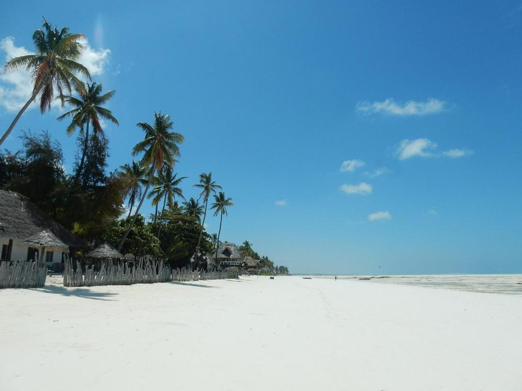 a white beach with palm trees and the ocean at The Kichwa House in Kiwengwa