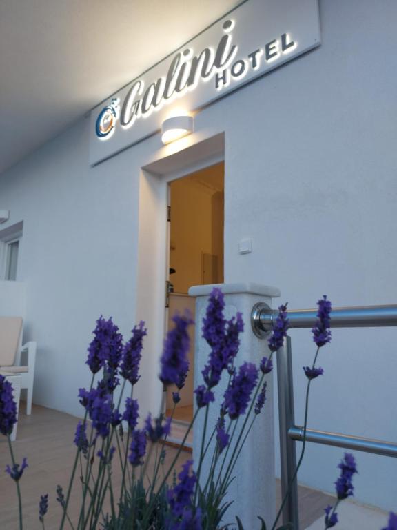 Foto dalla galleria di Hotel Galini a Naoussa