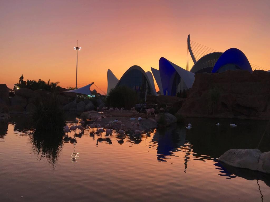 Valencia Moon Beach, Valencia – Updated 2023 Prices