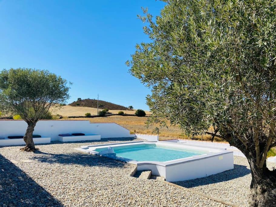 una piscina en medio de un patio con árboles en Casa na horta, planície alentejana 