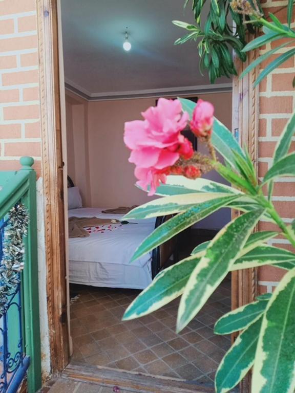 Postel nebo postele na pokoji v ubytování Riad Wink