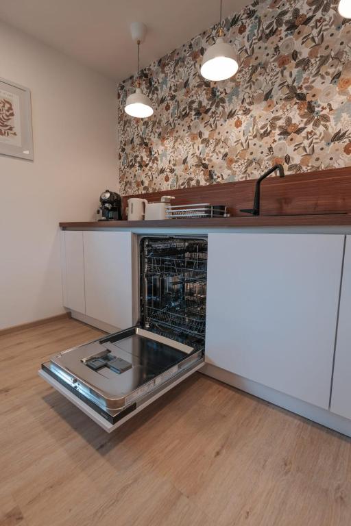 Kuchyň nebo kuchyňský kout v ubytování APARTMA LAMBERGER