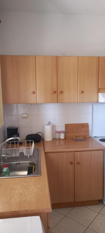 Kuchyň nebo kuchyňský kout v ubytování SPIROS HOME