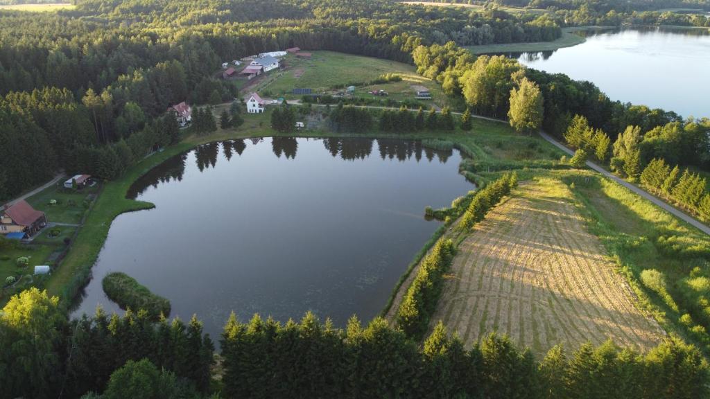 una vista aerea di un lago alberato e di una casa di Mieszkanie nad jeziorem Rydzówka+prywatny staw+plaża+Mazury a Srokowo