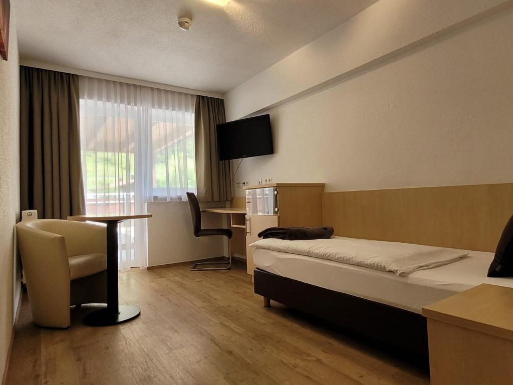 TV a/nebo společenská místnost v ubytování Hotel-Restaurant Lampenhäusl