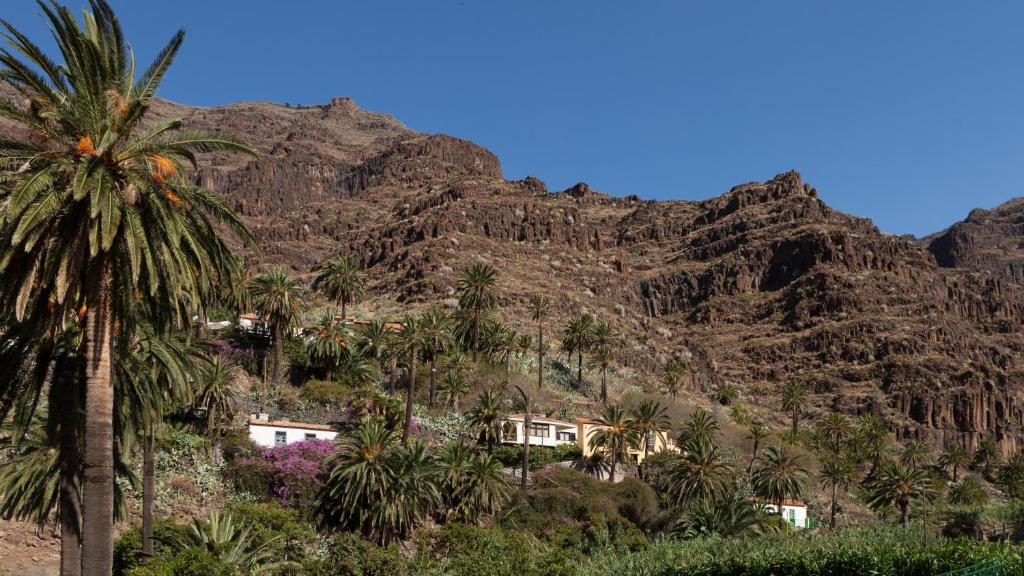 a mountain with palm trees and a house in front at Apartamentos Charco del Conde in Valle Gran Rey